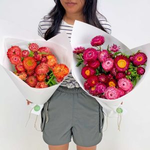 Bouquets of orange and pink paper daisies - Sydney flower delivery
