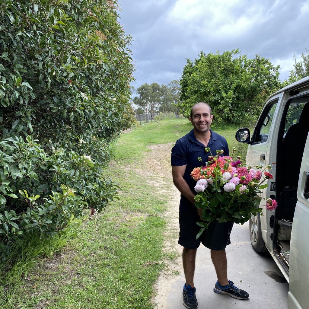 Freshly cut Australian-grown flowers ready for Sydney bouquets