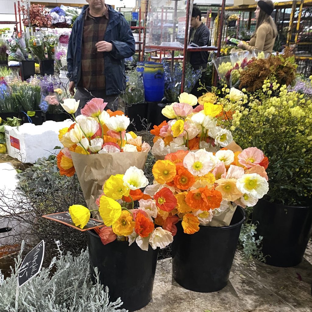 Poppies available at Sydney Flower Market