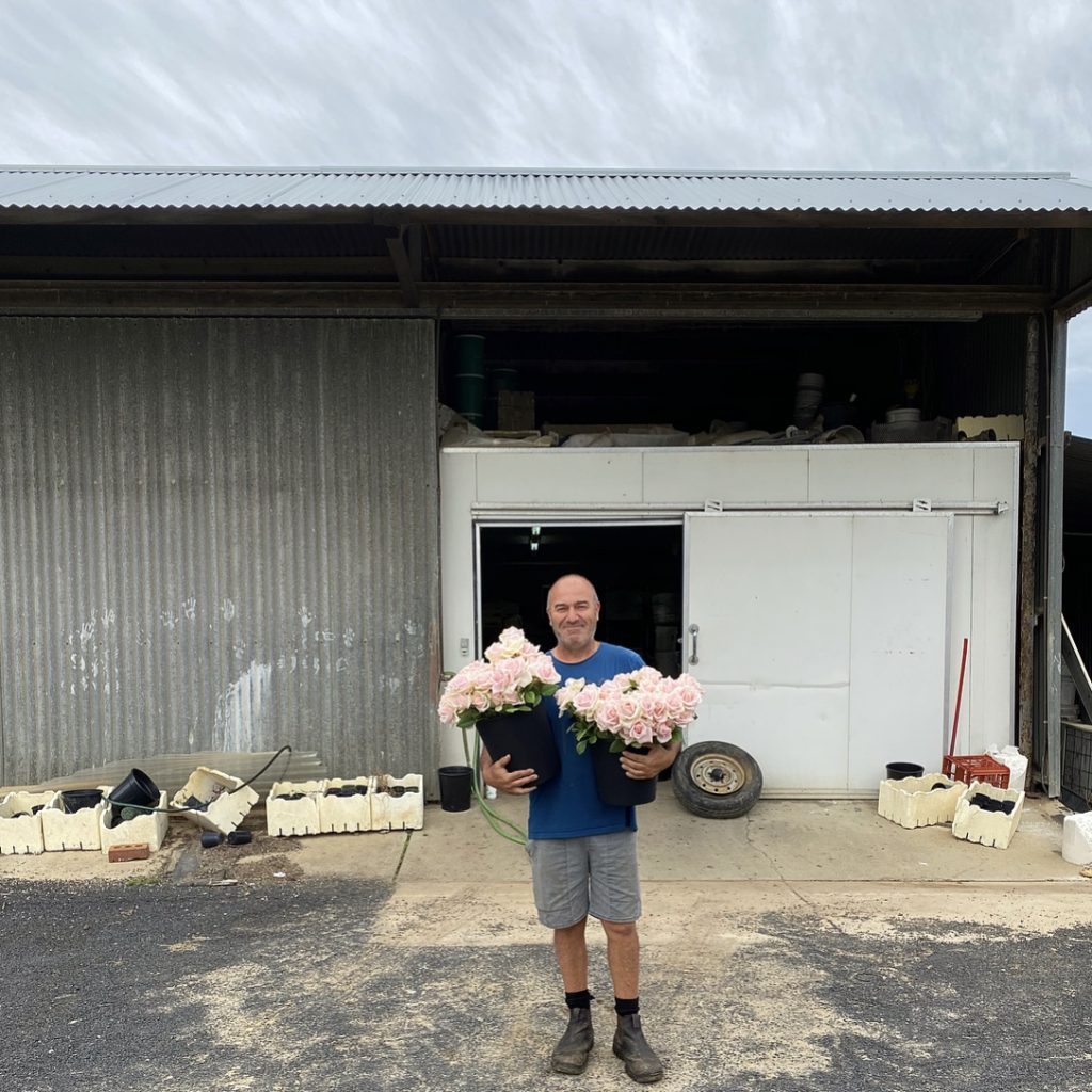 Australian rose farmer with seasonal flowers for Sydney florists