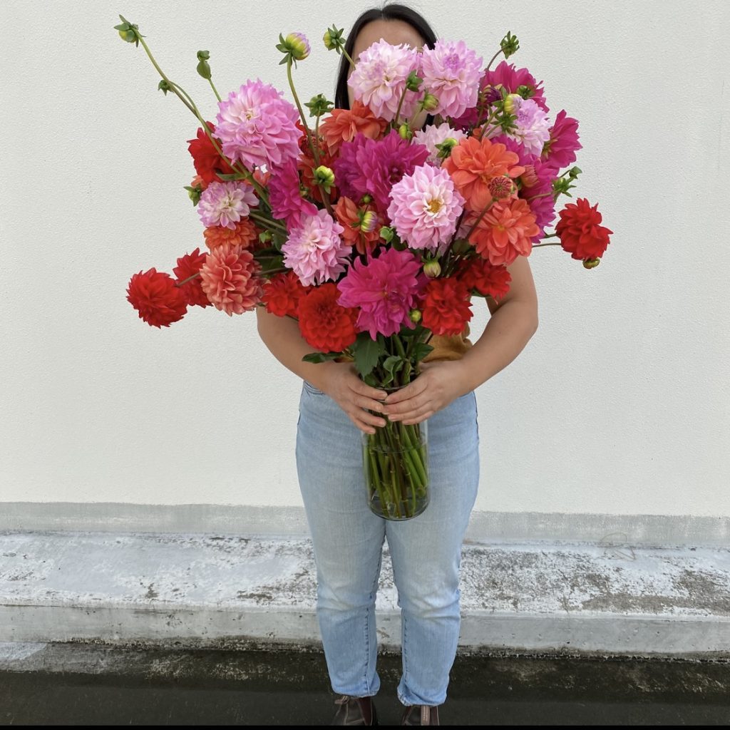 Summer flowers featured in the Seasonal Flower Club Sydney